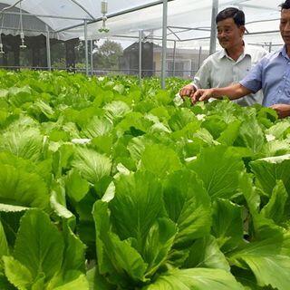 <a href="/phat-trien-kinh-te" title="Phát triển kinh tế" rel="dofollow">Phát Triển Kinh Tế</a>